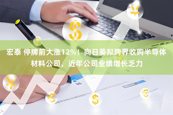 宏泰 停牌前大涨12%！向日葵拟跨界收购半导体材料公司，近年公司业绩增长乏力