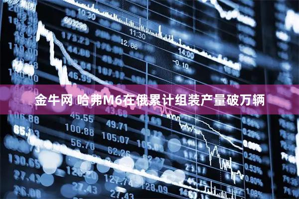 金牛网 哈弗M6在俄累计组装产量破万辆