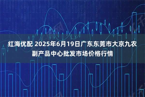 红海优配 2025年6月19日广东东莞市大京九农副产品中心批发市场价格行情